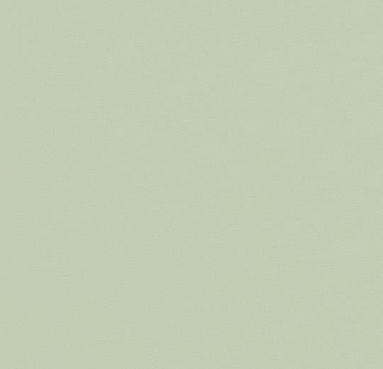 West Loop Modern Plywood Desk - Pistachio Green Top