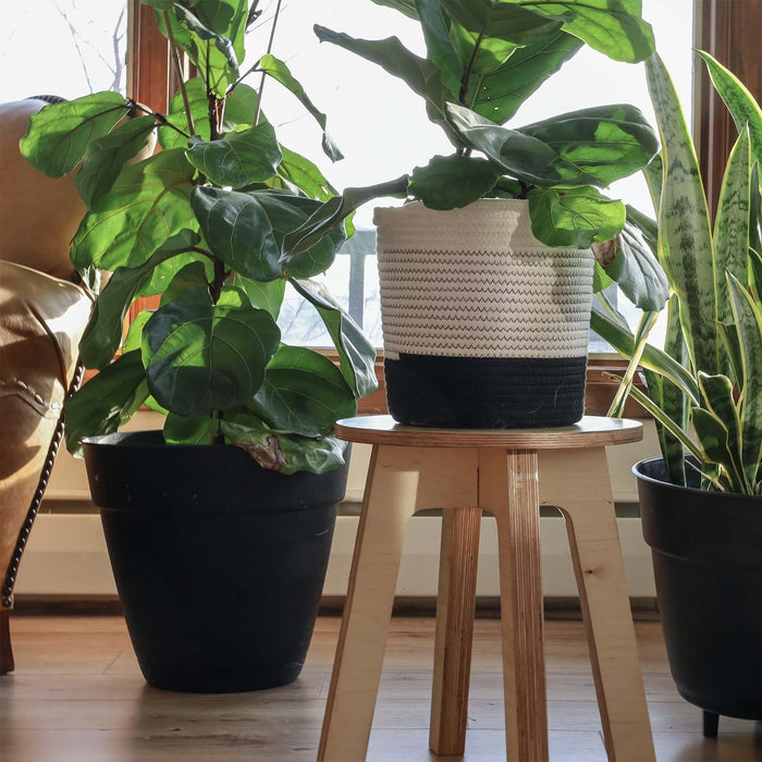 Driftless Stool - Pistachio Green Linoleum Top - Function